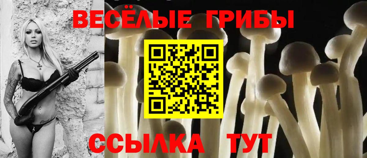 Псилоцибиновые грибы мухоморы Сосновоборск