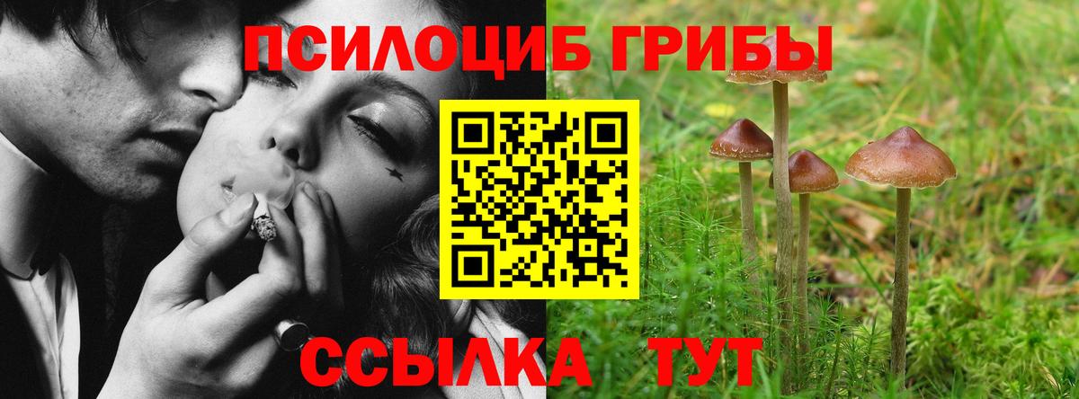Сосновоборск  Галлюциногенные грибы MAGIC MUSHROOMS  продажа наркотиков  Галлюциногенные грибы Psilocybe  Вход с VPN 